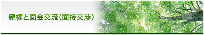 親権と面会交流(面接交渉)